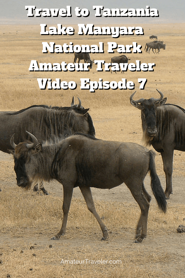 Travel to Tanzania – Lake Manyara National Park – Amateur Traveler Video Episode 7